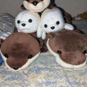 ヒメ日記 2025/07/18 23:45 投稿 ノア Club Hearts