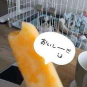 ヒメ日記 2025/08/06 20:01 投稿 ノア Club Hearts