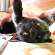 ヒメ日記 2025/08/17 16:00 投稿 ノア Club Hearts