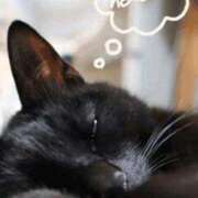 ヒメ日記 2025/08/18 14:01 投稿 ノア Club Hearts