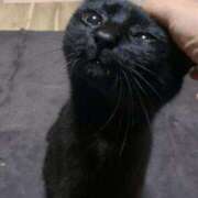 ヒメ日記 2025/09/09 16:00 投稿 ノア Club Hearts