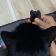 ヒメ日記 2025/09/21 22:02 投稿 ノア Club Hearts