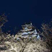 ヒメ日記 2025/11/04 22:01 投稿 ノア Club Hearts