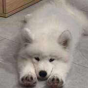 ヒメ日記 2025/11/19 23:46 投稿 ノア Club Hearts