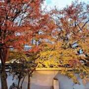 ヒメ日記 2025/11/30 22:01 投稿 ノア Club Hearts