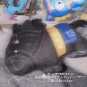 ヒメ日記 2025/12/29 16:01 投稿 ノア Club Hearts