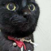 ヒメ日記 2026/02/22 16:01 投稿 ノア Club Hearts