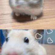 ヒメ日記 2026/02/26 16:01 投稿 ノア Club Hearts