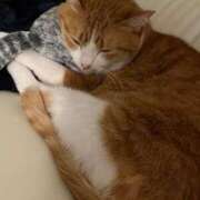 ヒメ日記 2025/06/22 09:52 投稿 恋愛【レンア】 Evolution 2nd