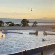 ヒメ日記 2024/12/18 18:18 投稿 ひなの 京都人妻花壇