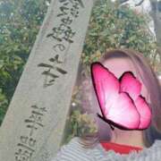 ヒメ日記 2025/03/28 16:48 投稿 森沢　ゆりあ 川崎南町人妻高級ソープ エル・カーヒル(ELCURHIL)秘密の刻