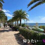 ヒメ日記 2025/06/05 19:08 投稿 森沢　ゆりあ 川崎南町人妻高級ソープ エル・カーヒル(ELCURHIL)秘密の刻