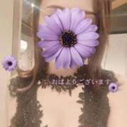 ヒメ日記 2025/06/08 08:23 投稿 森沢　ゆりあ 川崎南町人妻高級ソープ エル・カーヒル(ELCURHIL)秘密の刻