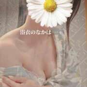 ヒメ日記 2025/08/09 09:48 投稿 森沢　ゆりあ 川崎南町人妻高級ソープ エル・カーヒル(ELCURHIL)秘密の刻