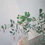 ヒメ日記 2025/08/26 18:11 投稿 森沢　ゆりあ 川崎南町人妻高級ソープ エル・カーヒル(ELCURHIL)秘密の刻