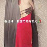 ヒメ日記 2025/10/23 18:47 投稿 森沢　ゆりあ 川崎南町人妻高級ソープ エル・カーヒル(ELCURHIL)秘密の刻