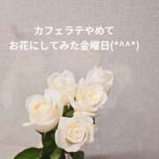 ヒメ日記 2025/11/07 19:07 投稿 森沢　ゆりあ 川崎南町人妻高級ソープ エル・カーヒル(ELCURHIL)秘密の刻