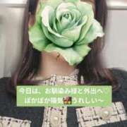 ヒメ日記 2025/11/19 11:13 投稿 森沢　ゆりあ 川崎南町人妻高級ソープ エル・カーヒル(ELCURHIL)秘密の刻