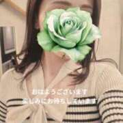 ヒメ日記 2025/11/22 08:41 投稿 森沢　ゆりあ 川崎南町人妻高級ソープ エル・カーヒル(ELCURHIL)秘密の刻