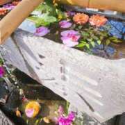 ヒメ日記 2025/11/24 19:01 投稿 森沢　ゆりあ 川崎南町人妻高級ソープ エル・カーヒル(ELCURHIL)秘密の刻