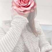 ヒメ日記 2025/11/28 12:35 投稿 森沢　ゆりあ 川崎南町人妻高級ソープ エル・カーヒル(ELCURHIL)秘密の刻