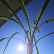 ヒメ日記 2025/12/05 08:45 投稿 森沢　ゆりあ 川崎南町人妻高級ソープ エル・カーヒル(ELCURHIL)秘密の刻