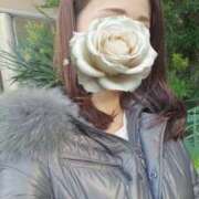 ヒメ日記 2025/12/09 11:17 投稿 森沢　ゆりあ 川崎南町人妻高級ソープ エル・カーヒル(ELCURHIL)秘密の刻