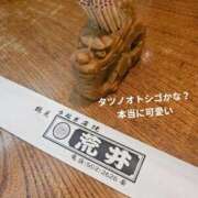 ヒメ日記 2025/12/09 19:57 投稿 森沢　ゆりあ 川崎南町人妻高級ソープ エル・カーヒル(ELCURHIL)秘密の刻