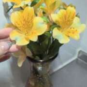 ヒメ日記 2025/12/18 19:21 投稿 森沢　ゆりあ 川崎南町人妻高級ソープ エル・カーヒル(ELCURHIL)秘密の刻