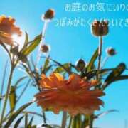 ヒメ日記 2026/01/12 09:39 投稿 森沢　ゆりあ 川崎南町人妻高級ソープ エル・カーヒル(ELCURHIL)秘密の刻