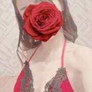 ヒメ日記 2026/01/29 08:21 投稿 森沢　ゆりあ 川崎南町人妻高級ソープ エル・カーヒル(ELCURHIL)秘密の刻