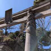 ヒメ日記 2026/02/21 17:43 投稿 森沢　ゆりあ 川崎南町人妻高級ソープ エル・カーヒル(ELCURHIL)秘密の刻