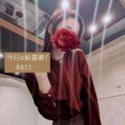 ヒメ日記 2026/03/05 18:55 投稿 森沢　ゆりあ 川崎南町人妻高級ソープ エル・カーヒル(ELCURHIL)秘密の刻