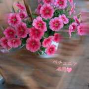 ヒメ日記 2026/07/11 07:32 投稿 森沢　ゆりあ 川崎南町人妻高級ソープ エル・カーヒル(ELCURHIL)秘密の刻