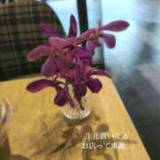ヒメ日記 2026/07/21 12:58 投稿 森沢　ゆりあ 川崎南町人妻高級ソープ エル・カーヒル(ELCURHIL)秘密の刻