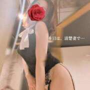 ヒメ日記 2026/08/24 20:17 投稿 森沢　ゆりあ 川崎南町人妻高級ソープ エル・カーヒル(ELCURHIL)秘密の刻