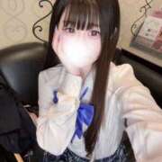 ヒメ日記 2024/12/27 17:09 投稿 るり（超かわいいです・・・！ ハニービー（Honey Bee）