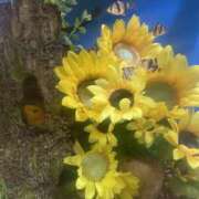 ヒメ日記 2025/08/02 22:35 投稿 さつき 素人巨乳ちゃんこ「東千葉店」