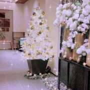 ヒメ日記 2024/12/11 10:01 投稿 中谷いくみ MADAM