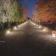 ヒメ日記 2025/12/03 20:16 投稿 中谷いくみ MADAM