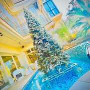 中谷いくみ 女の子の日休暇のお知らせ??♀? MADAM