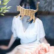 ヒメ日記 2025/06/20 20:04 投稿 とも エメラルド☆フロウジョン