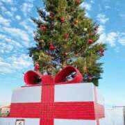 ヒメ日記 2024/12/24 23:18 投稿 ひより ノーパンエステ!?絶頂させる天使たち