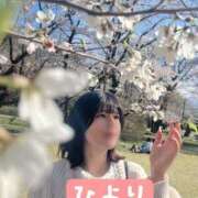 ヒメ日記 2025/04/12 15:58 投稿 ひより ノーパンエステ!?絶頂させる天使たち