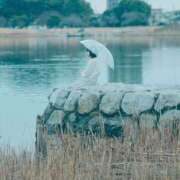 ヒメ日記 2025/06/27 21:48 投稿 ひより ノーパンエステ!?絶頂させる天使たち