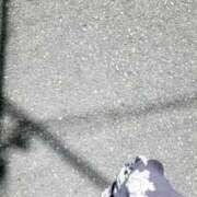 ヒメ日記 2025/07/18 10:53 投稿 さくら 熟女の風俗最終章 相模原店