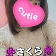 ヒメ日記 2025/11/30 12:35 投稿 さくら 熟女の風俗最終章 相模原店