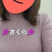 ヒメ日記 2025/12/28 15:30 投稿 さくら 熟女の風俗最終章 相模原店