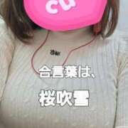 ヒメ日記 2026/03/10 17:01 投稿 さくら 熟女の風俗最終章 相模原店