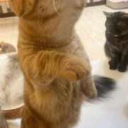 ヒメ日記 2025/05/10 09:39 投稿 るる【激濡れ童顔少女】 Aris（アリス）☆超恋人空間☆沖縄最大級！！